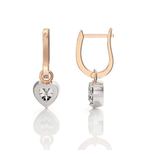 Load image into Gallery viewer, Taylor Earrings
